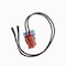 Truckair Harness - 2 Wire - Weatherpa, Category: Harness, Application: Pressure Switch, Number Of Wires: 2 11-3162 - alternate 3